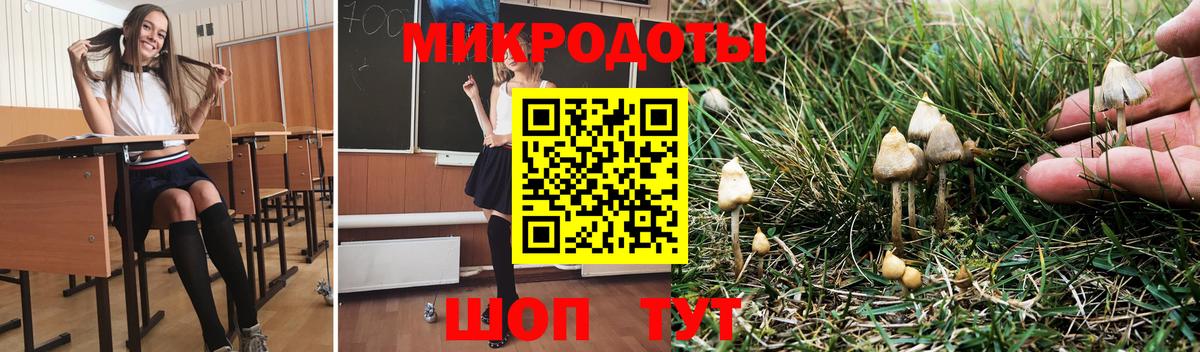 Псилоцибиновые грибы Psilocybine cubensis Нижний Тагил